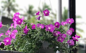 Thao Nguyen Phat Homestay